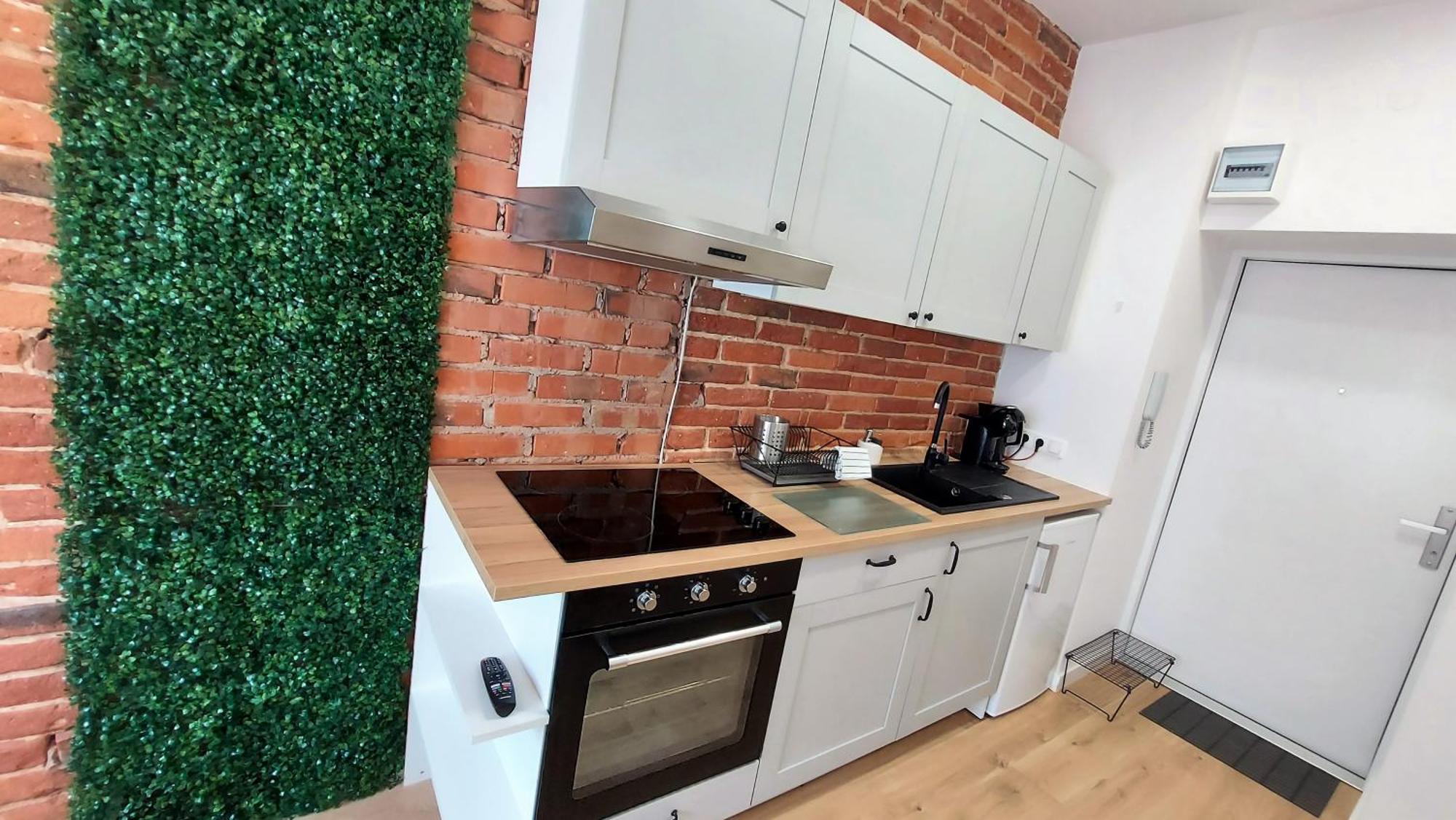 Theapartments Radwanska Lodz  Room photo